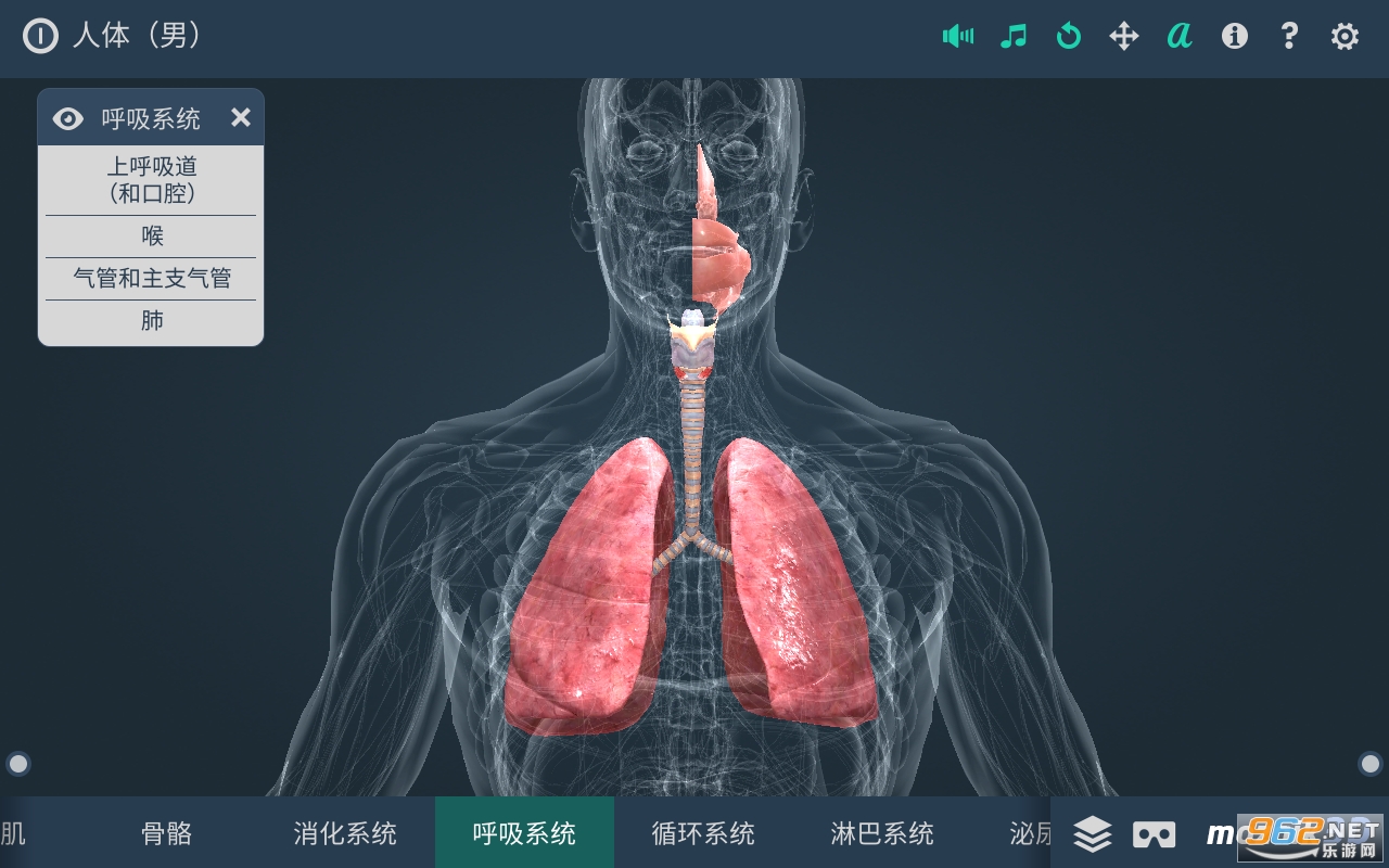 Human body (male)(����ϵͳ3d���İ�)v1.24 app(����)��ͼ3