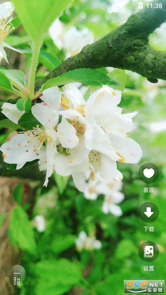 ��Ƶ����app��ͼ3
