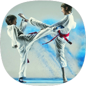 Taekwondo Guide�ٷ���