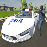 Real Police Car Game(��������2021��Ϸ)