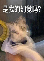 ���ҵĻþ�������