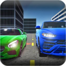Real World Driver(��ʵ�����ʻԱ��ʽ��)