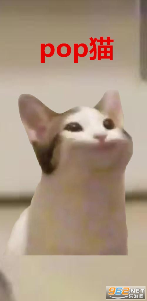 popè��Ϸ