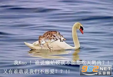 等天鹅青蛙图片大全 等天鹅青蛙图片大全
