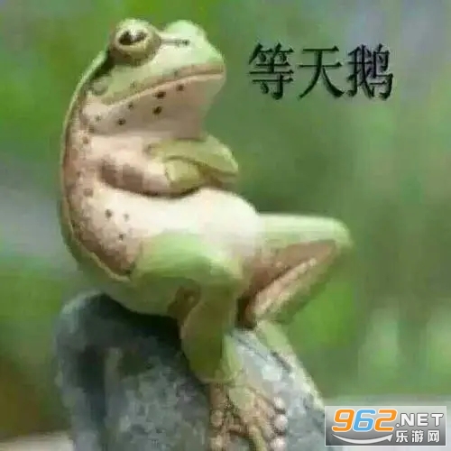等天鹅青蛙图片大全 等天鹅青蛙图片大全