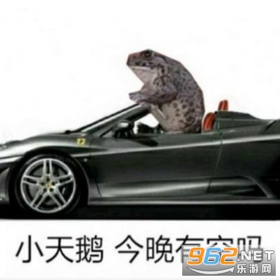 等天鹅青蛙图片大全 等天鹅青蛙图片大全