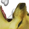 ��ͷ��ʺ�����