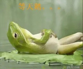 等天鹅青蛙图片大全截图2