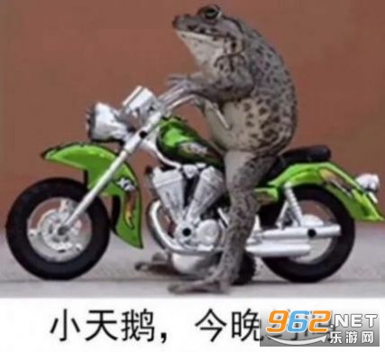 等天鹅青蛙图片大全截图5