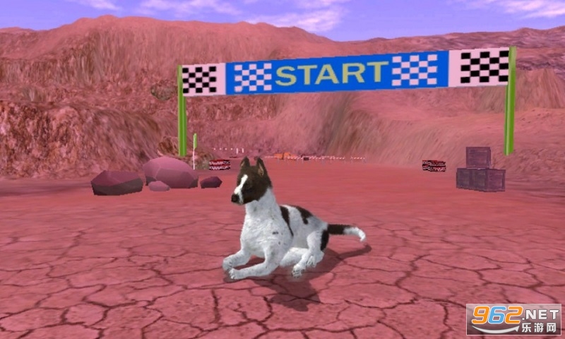 猎犬模拟器无限金币版(Greman ShorthairedPointer Simulator)截图1