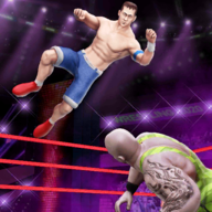 Stylized Wrestling(��̨ˤ�ӹھ��ֻ���)