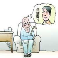 ����������Э����