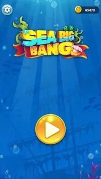 SeaBigBang(���ը��Ϸ�ٷ���)��ͼ1