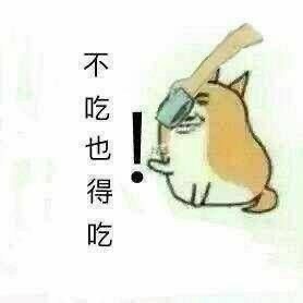 ����ʺ��ͼƬ��ȫ�����gif��ͼ1