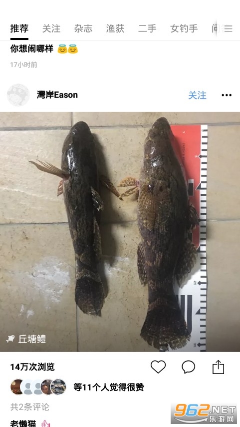 渔获app 渔获app