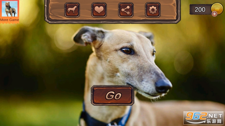 ��ʨ��ģ��(Greyhound Dog Simulator)��ͼ2