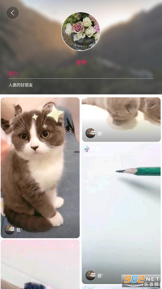 Coveer�ٷ����ͼ0