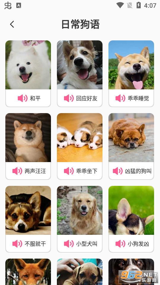 ���﷭�빤��app�ֻ��� v2.8.3��ͼ3