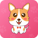 ���﷭�빤��app