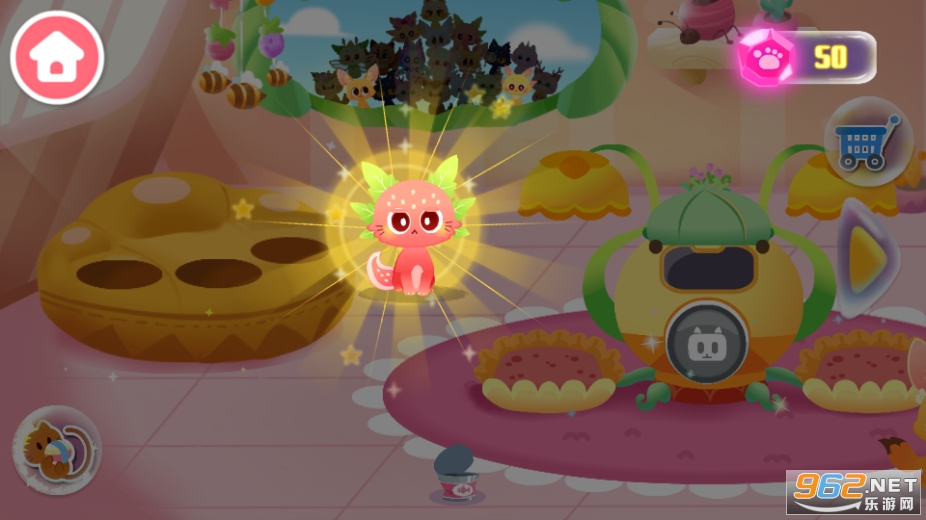 ������ʿ����è�������ͼ5