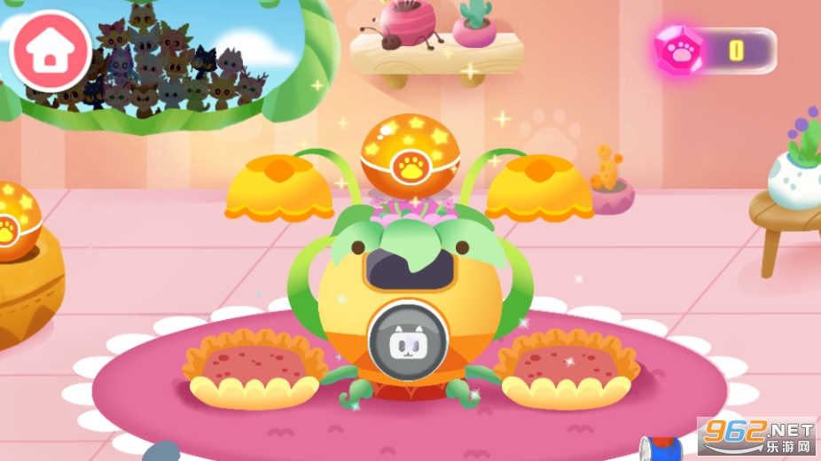������ʿ����è�������ͼ6