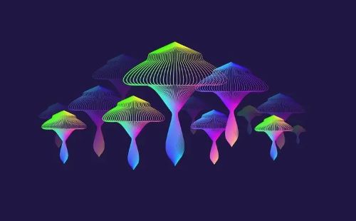ai������������վ_ai�����������ֻ���_ai�����������