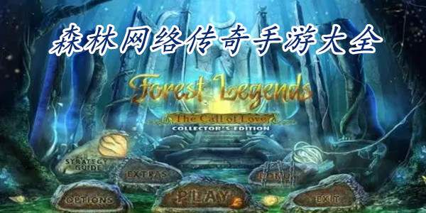 ɭ�����紫������_ɭ�����絥ְҵ����_ɭ�����紫���