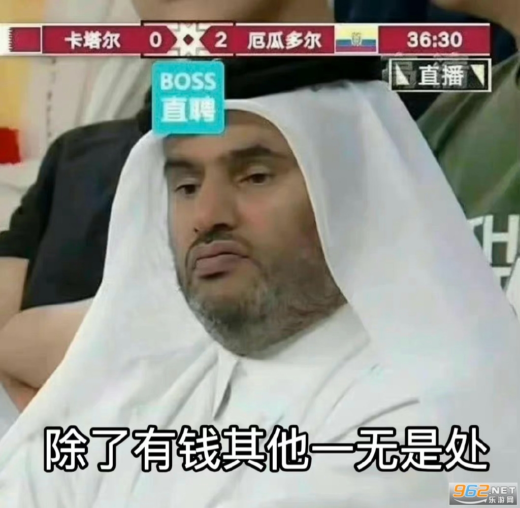 世界杯吉祥物表情包图片截图18