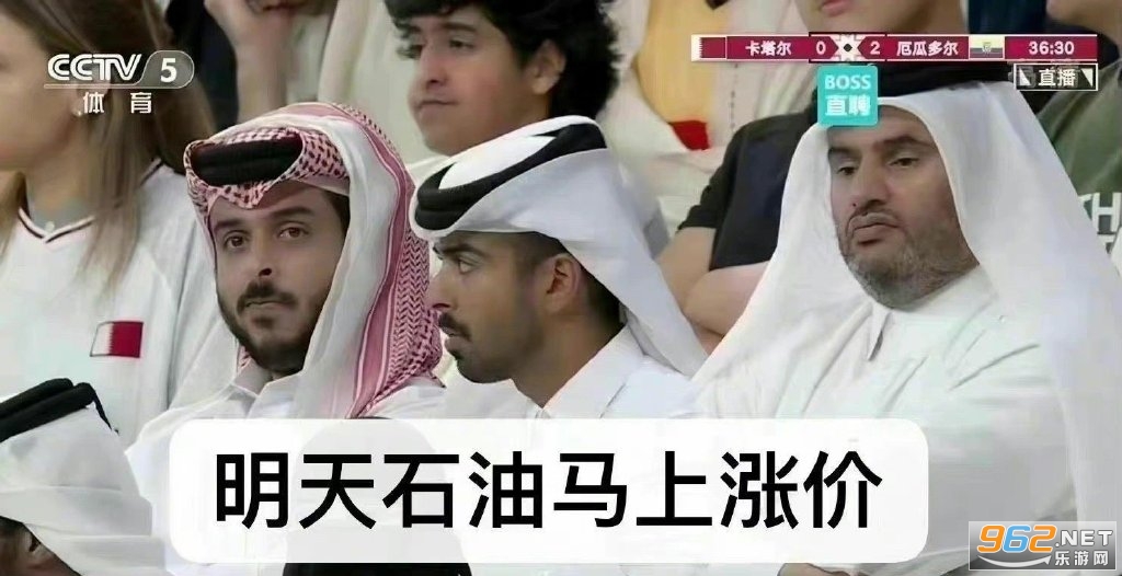 世界杯吉祥物表情包图片截图0