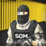 SOM�����ƽ��