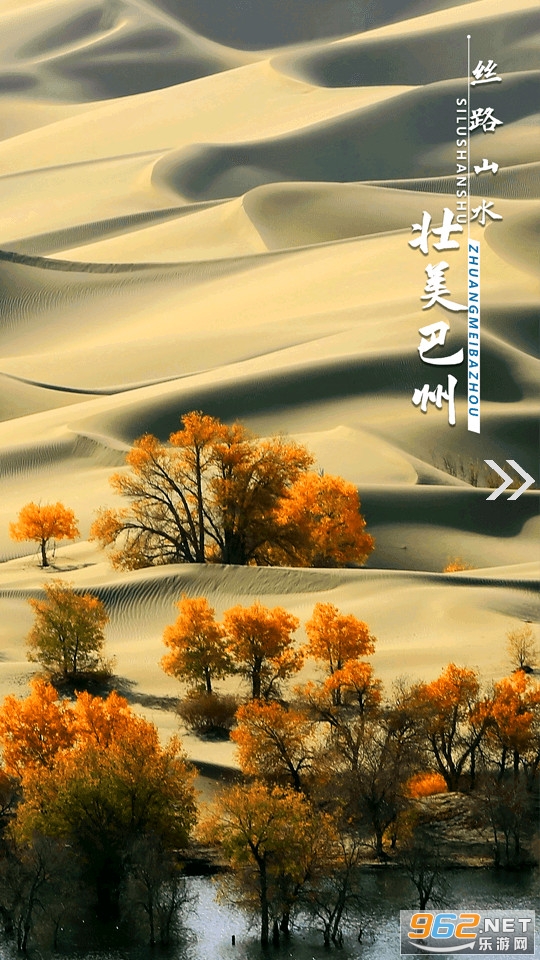 我的巴州app新时代文明实践截图4