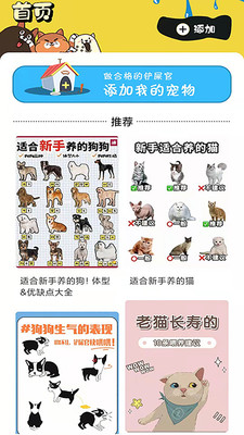 肥猫看看最新版 肥猫看看最新版