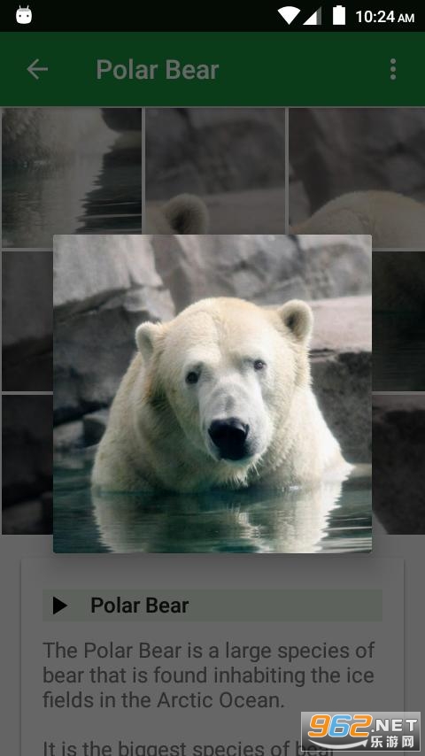 Ұ������ƴͼWild Animals Puzzle���°�