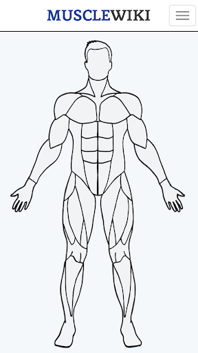 MuscleWiki App��ͼ1