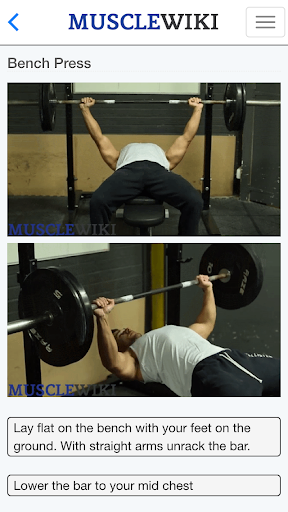 MuscleWiki App��ͼ2