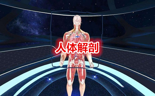 �����������app_�������3d_������������ĸ�����