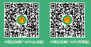 �й�ũ���ƹ�app�ٷ���
