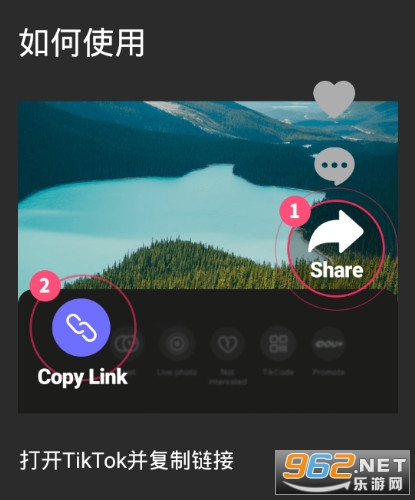 TikTok������