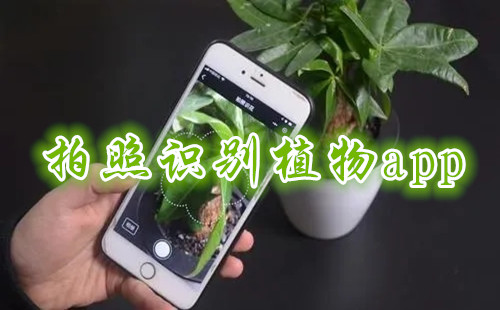 ����ʶ��ֲ��app_����ʶ��ֲ������app�ĸ���_������