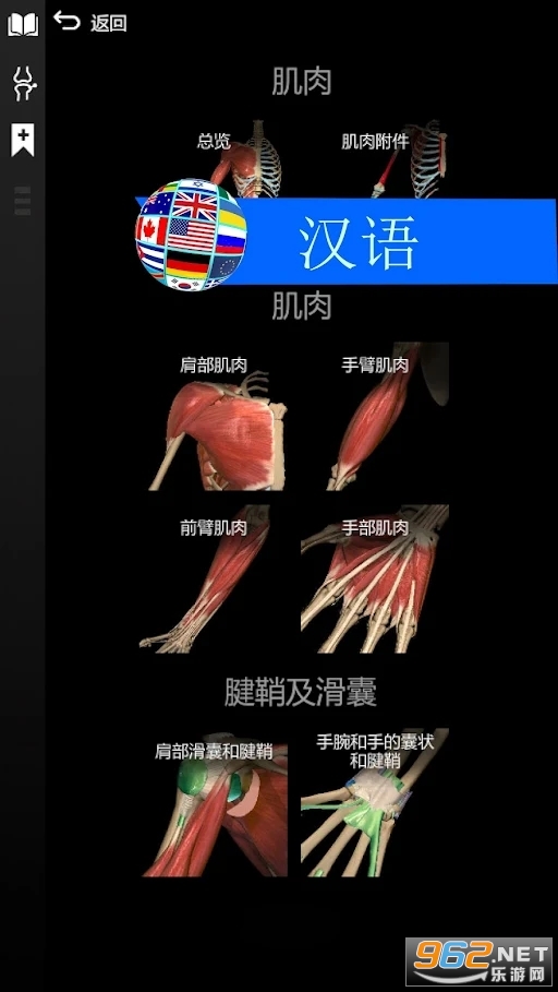 Anatomy Learning�ƽ��