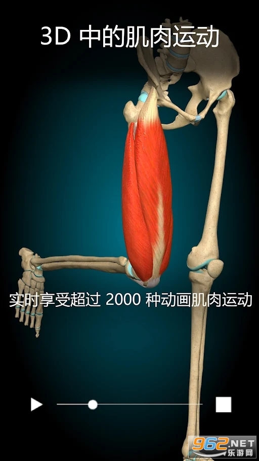 Anatomy Learning���������ͼ0