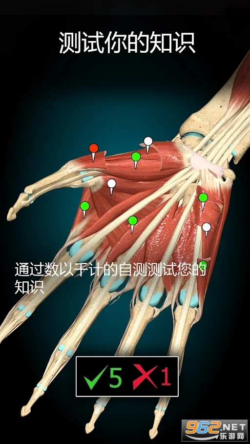 Anatomy Learning���������ͼ3