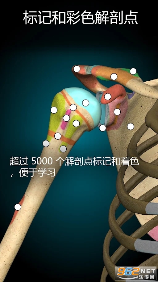 Anatomy Learning���������ͼ1