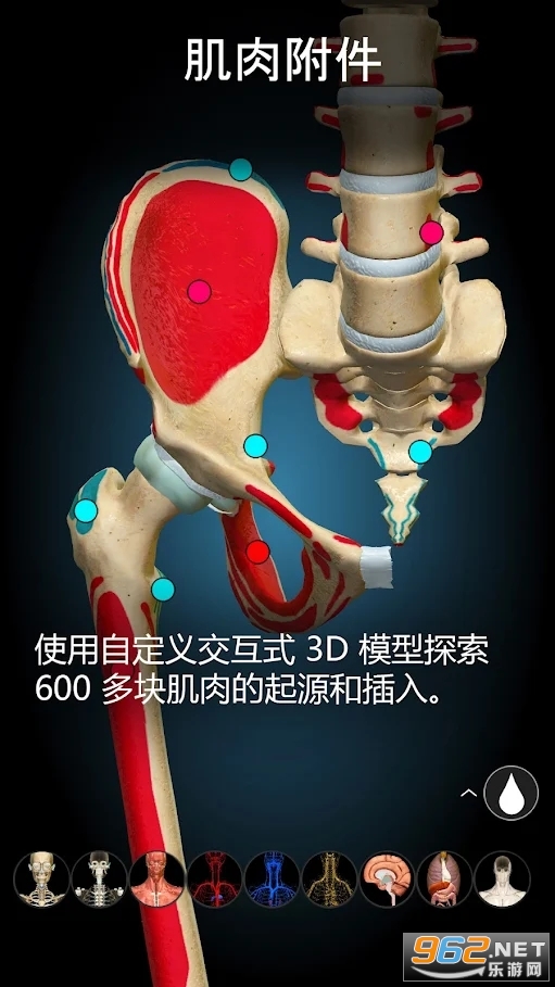 Anatomy Learning���������ͼ2