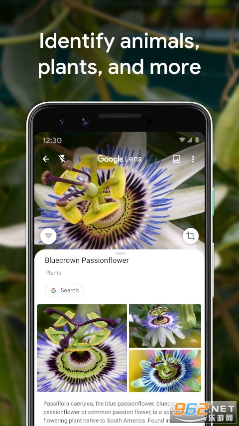 Google���ܾ�ͷGoogle Lensv1.14.220323006��׿���ͼ3