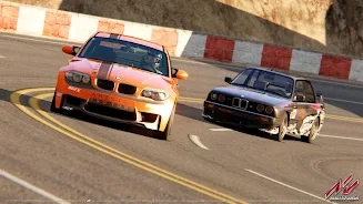 ������ɯ����(Assetto Corsa)v1.0 ��׿���ͼ3