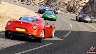 ������ɯ����(Assetto Corsa)v1.0 ��׿���ͼ4