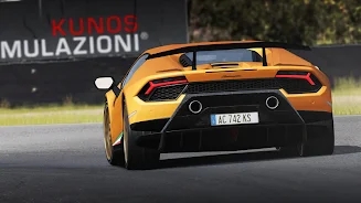 ������ɯ����(Assetto Corsa)v1.0 ��׿���ͼ1
