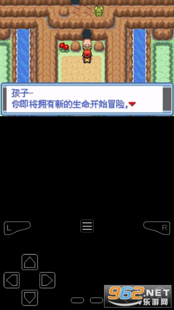 口袋妖怪永恒之焱金手指版截图1
