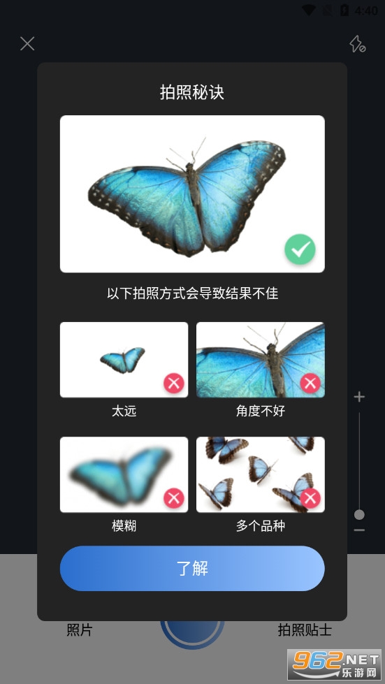 昆虫识别大师截图2